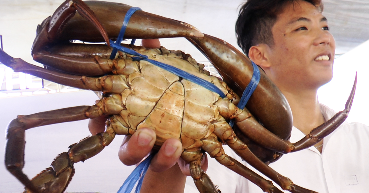 Cà Mau mang cua 'chính hiệu' đến giới thiệu với thực khách TP.HCM