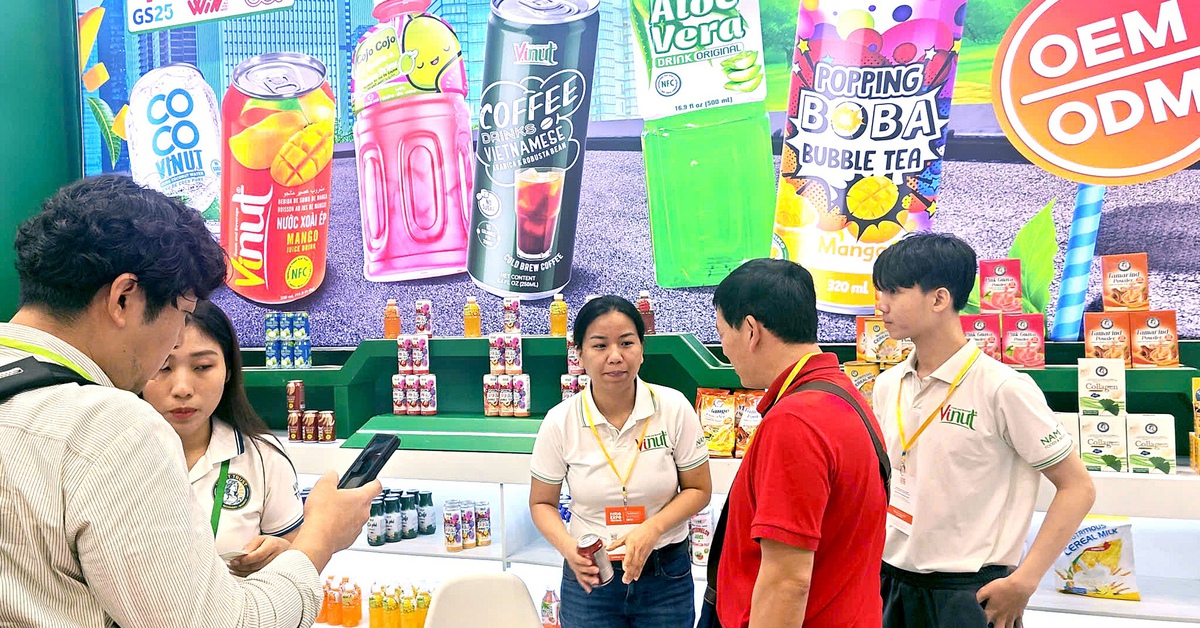 Dừa Bến Tre xuất khẩu 65 quốc gia, khách quốc tế săn lùng sản phẩm xanh