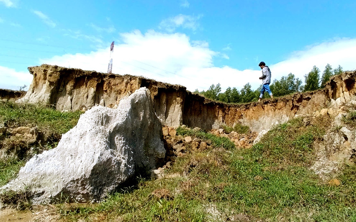 Phá nát ruộng đồng rồi lơ trách nhiệm và xin phá sản