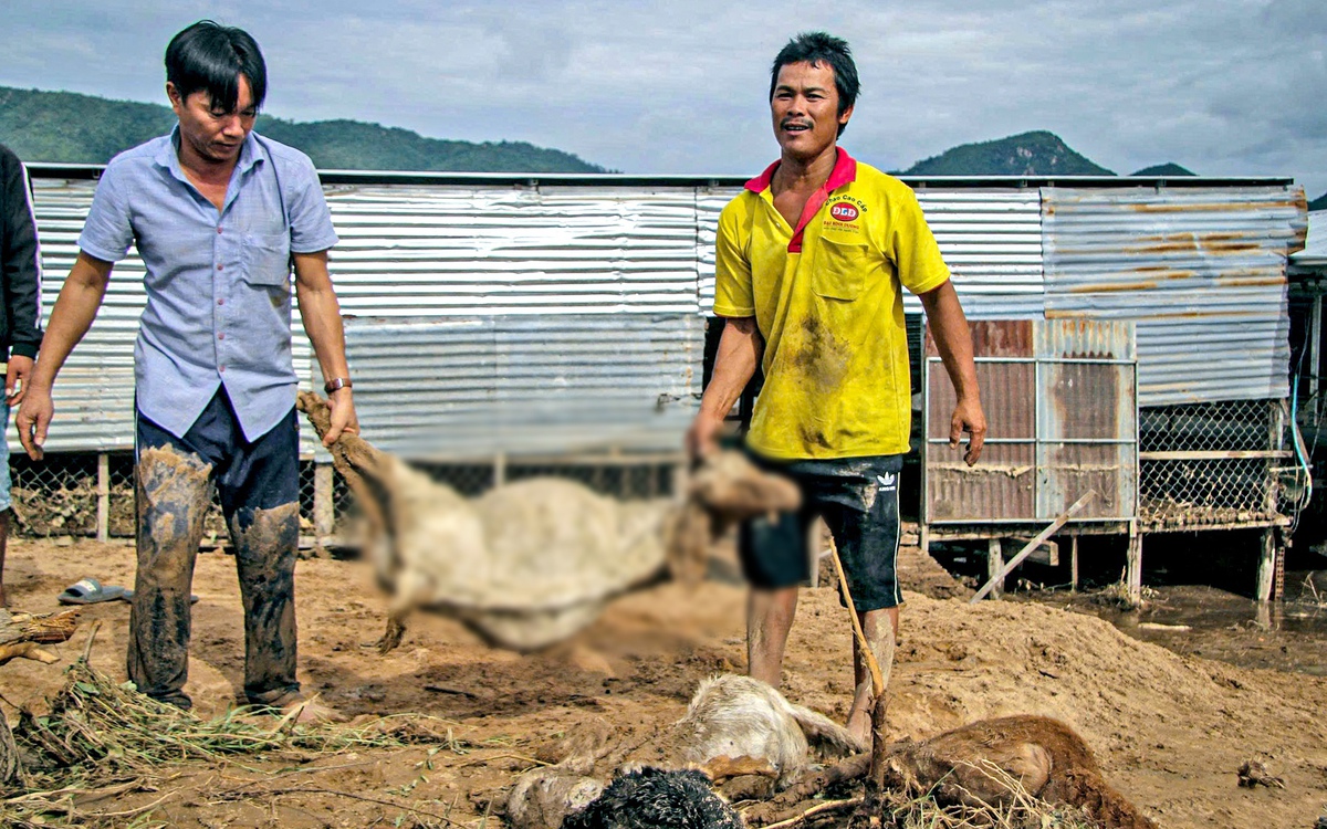 Khởi tố vụ án vỡ hồ chứa nước làm chết người ở Tuy Phong