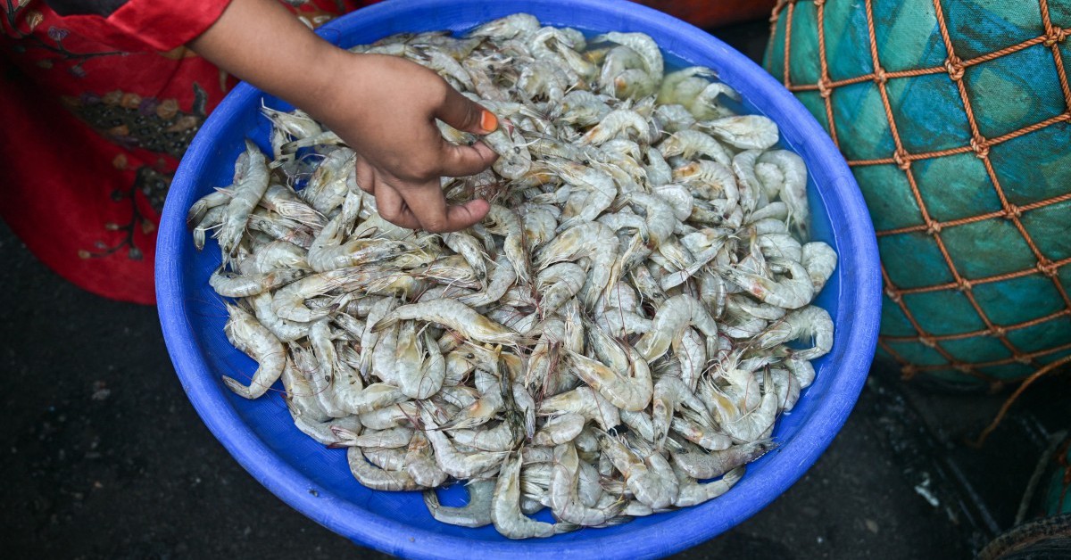 Hàng loạt lô tôm đông lạnh, giày thể thao từ Indonesia bị phát hiện nhiễm phóng xạ