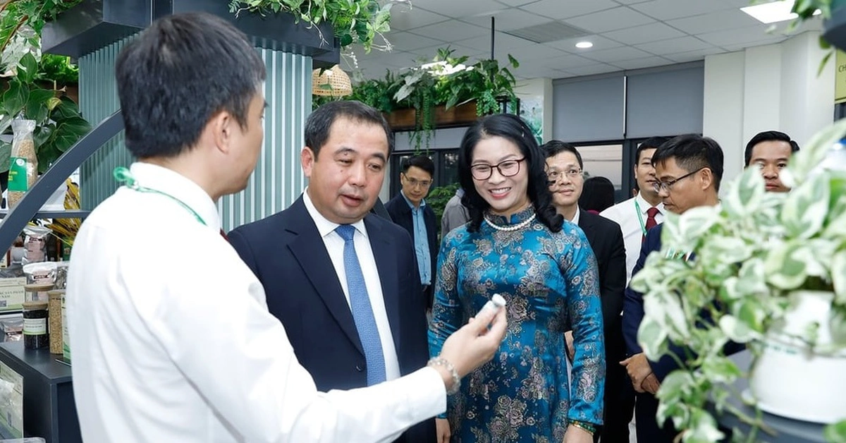 Bộ trưởng Trần Đức Thắng đặt hàng nghiên cứu chế biến đất hiếm