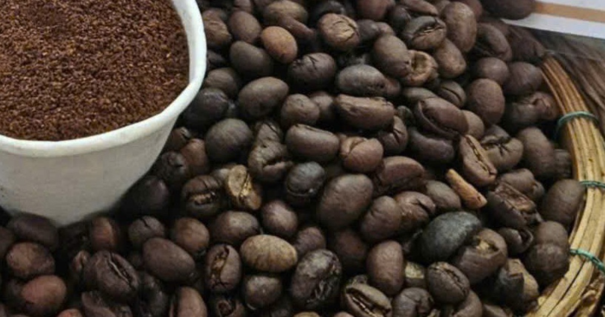 Giá cà phê tăng lại, nhiều nông dân trồng cà phê 'hốt bạc'