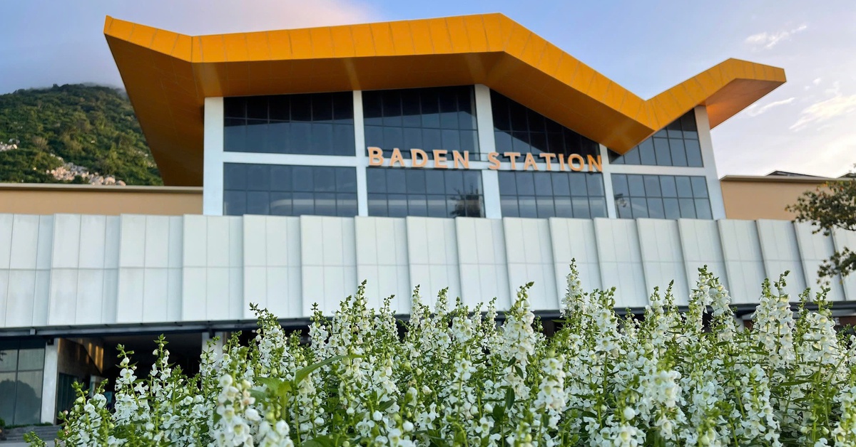 Chính quyền số phục vụ hơn 3,2 triệu dân Tây Ninh