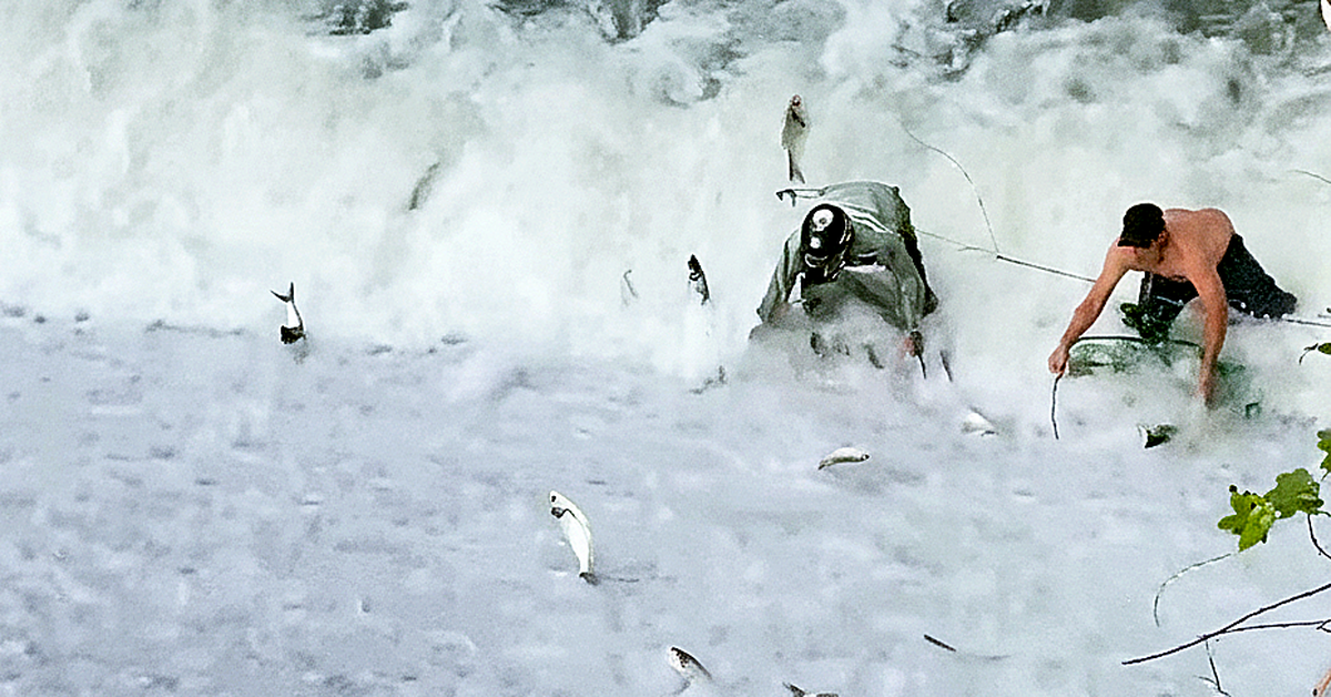 Cá tràn ra hồ Liệt Sơn do nước dâng cao, người dân 'liều mình' đón bắt