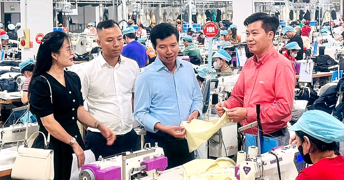 Hội Doanh nhân trẻ Việt Nam sẽ đào tạo 10.000 CEO và chuyển đổi 50.000 hộ kinh doanh