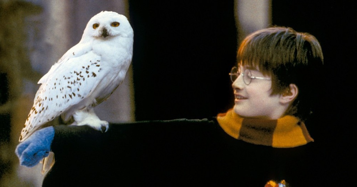 Fan Harry Potter sắp được trải nghiệm phép thật ngoài đời thực