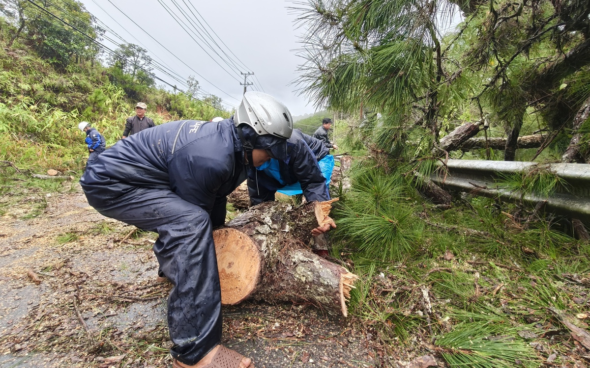 Zaradi zemeljskih plazov v Đà Lạtu odpovedujejo ture, a mesto ni izolirano