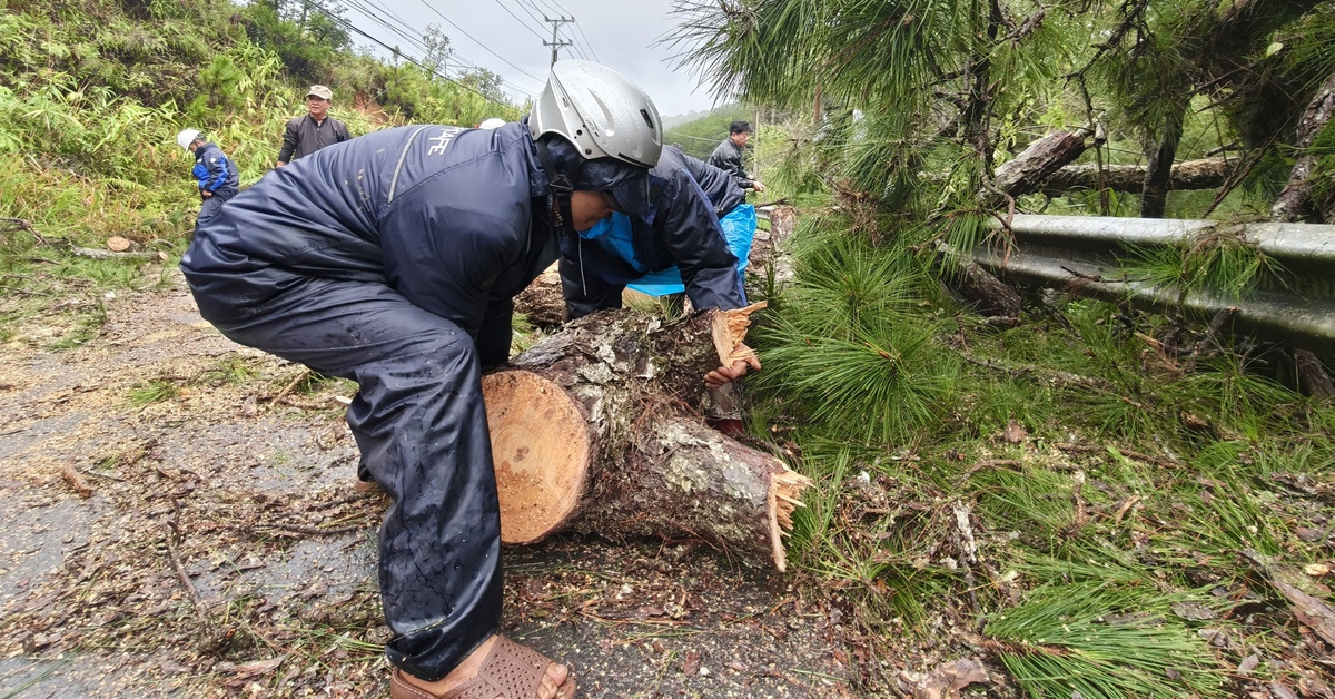 Đà Lạt bị cô lập sau khi nhiều đèo sạt lở là tin thất thiệt
