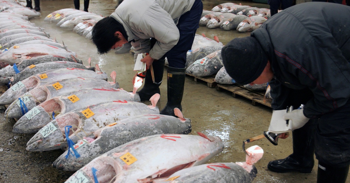 Trung Quốc ngừng nhập khẩu thủy sản Nhật Bản giữa căng thẳng