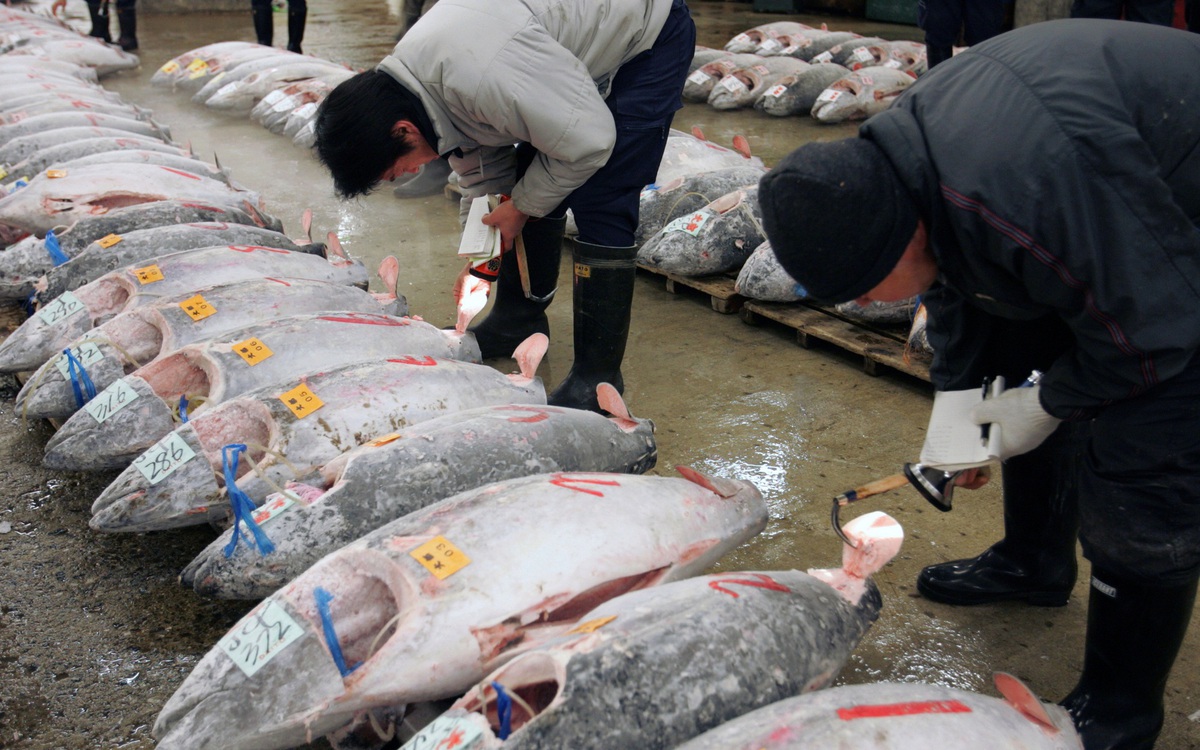 Trung Quốc ngừng nhập khẩu thủy sản Nhật Bản giữa căng thẳng