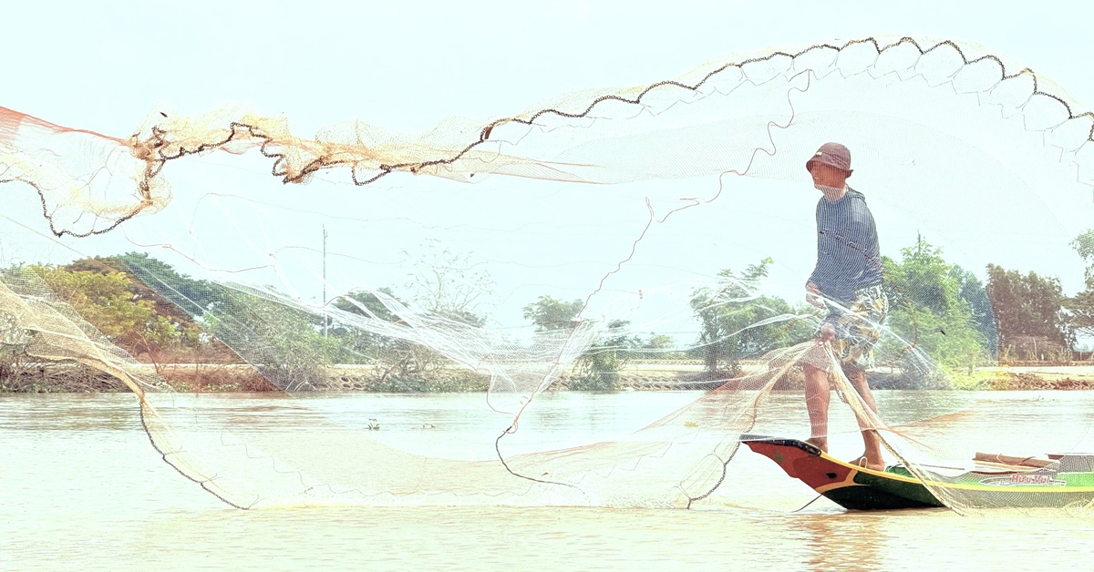 Người dân miền Tây bội thu mùa cá đồng