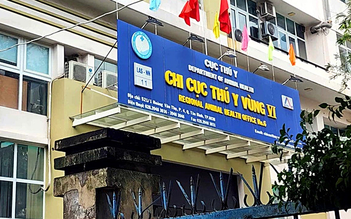 Cựu lãnh đạo Chi cục Thú y vùng VI 'tiếp tay' buôn lậu thế nào?
