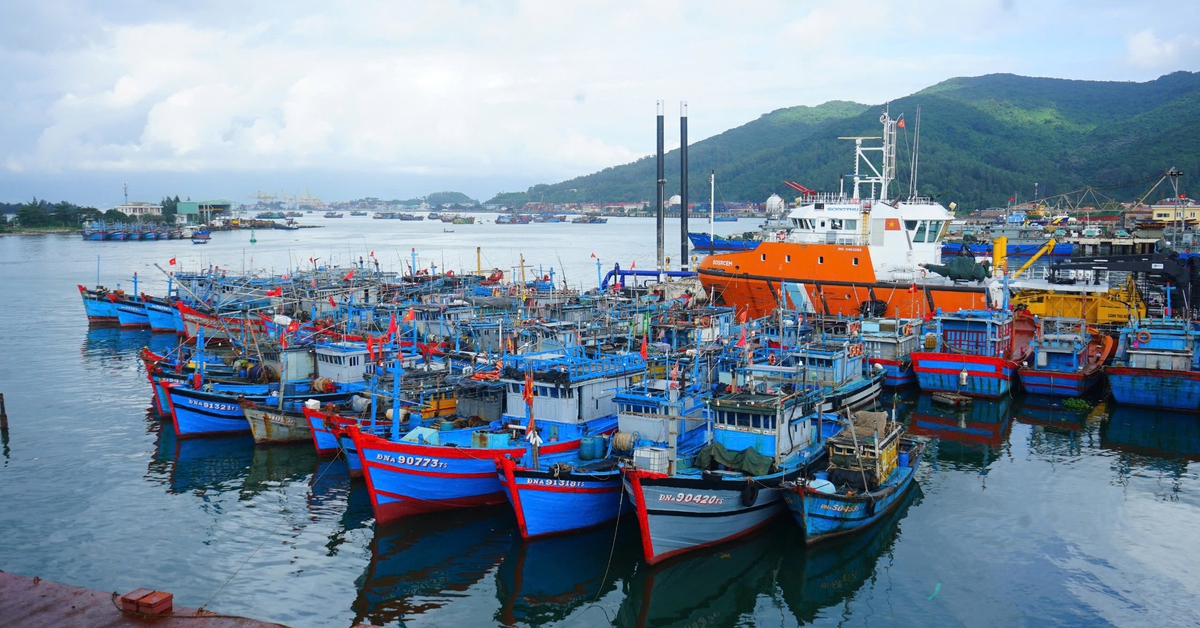 Khánh thành dự án nâng cấp cảng cá Thọ Quang, trung tâm nghề cá lớn nhất miền Trung