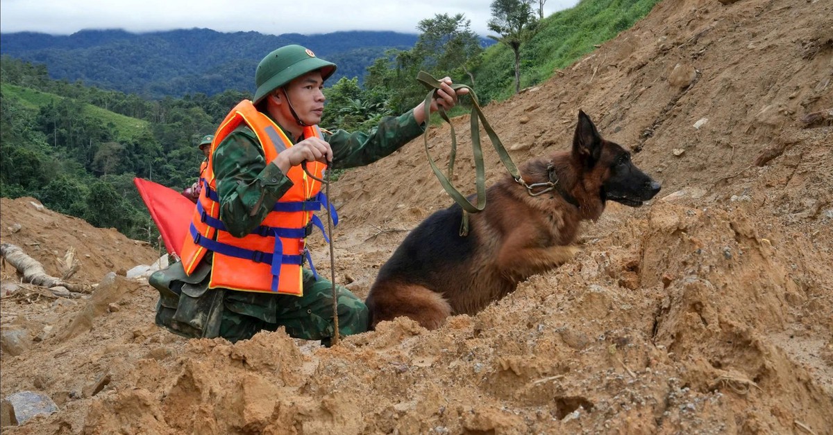 100 bộ đội biên phòng dẫn chó nghiệp vụ tìm kiếm 2 nạn nhân bị vùi lấp ở Đà Nẵng