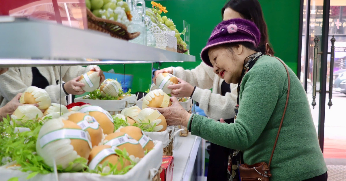 Từ nho sữa, lê Hàn Quốc đến máy ảnh Canon, xe máy Honda đều có hàng giả