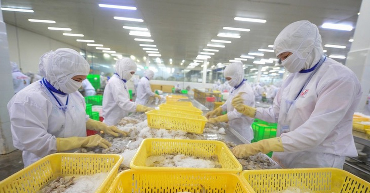 Xuất khẩu tôm bứt tốc, Trung Quốc vượt lên dẫn đầu thị trường nhập khẩu