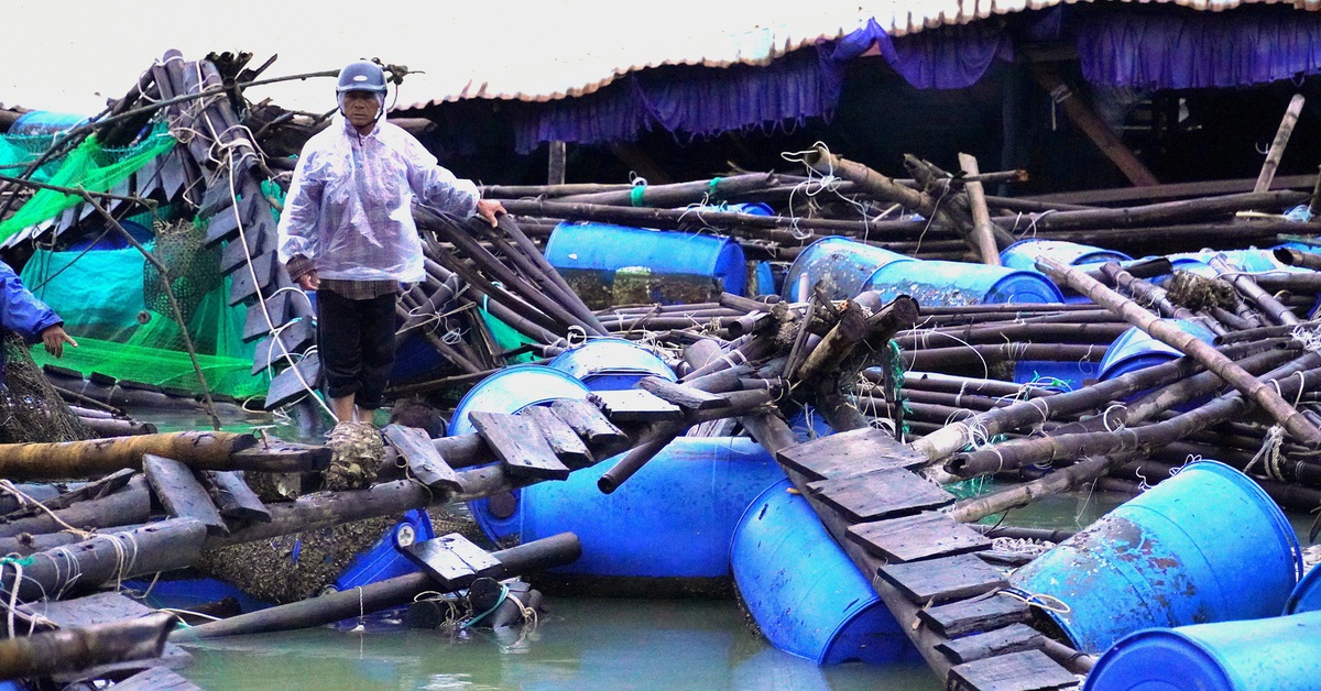 Cận cảnh bè cá tan nát dưới chân cầu ở Phú Yên cũ
