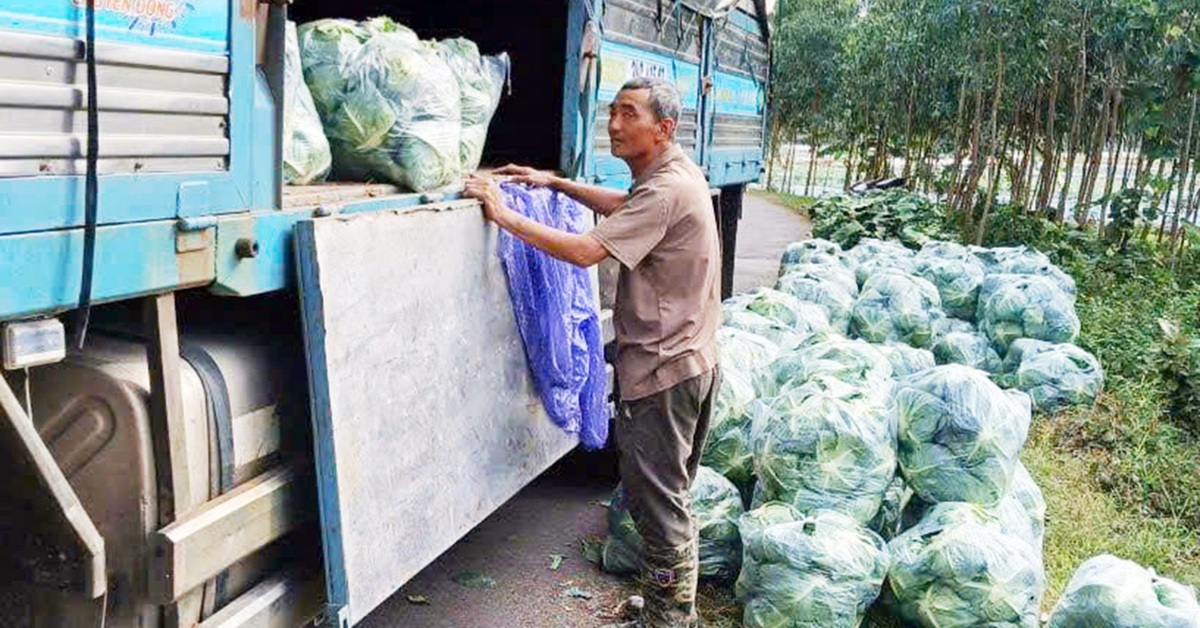 Kêu gọi ưu tiên hàng hóa, khuyến mãi cho vùng lũ: Dùng đồ ngon và đừng tăng giá quá đáng