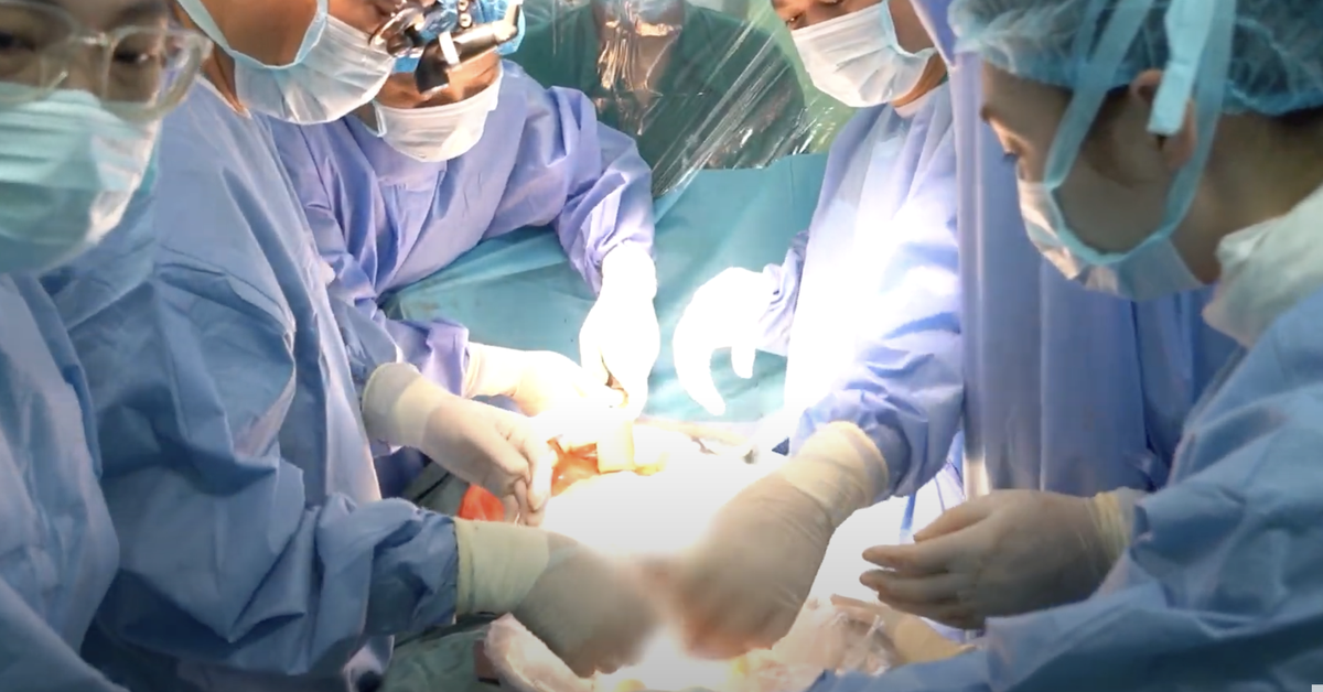 Vượt 2.000km, lá gan hiến tặng từ Cần Thơ hồi sinh bé gái 3 tuổi ở Hà Nội