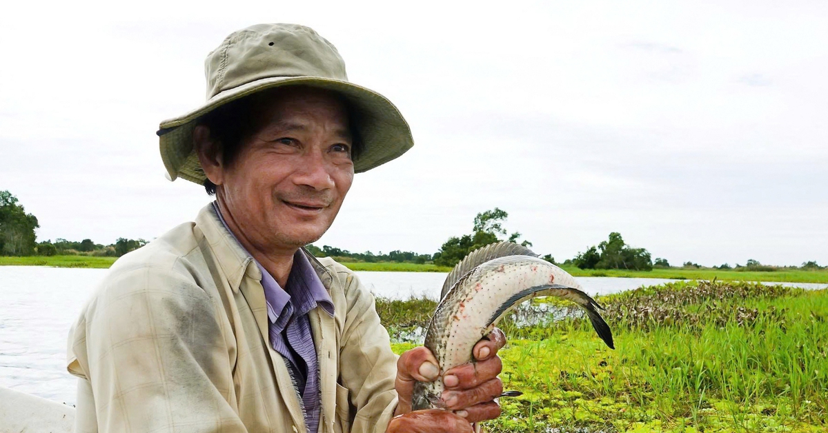 Về rốn cá U Minh Thượng xem dân săn cá lóc đồng