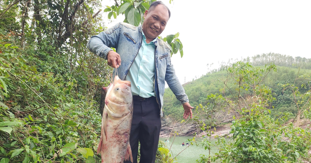 Người dân đua nhau săn cá 'khủng' dưới xả tràn lũ hồ Kẻ Gỗ