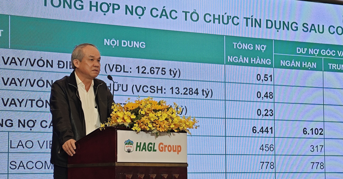 Bầu Đức nói HAGL đang có 'bức tranh tài sản đẹp như mơ', sắp IPO công ty nông nghiệp ở Lào