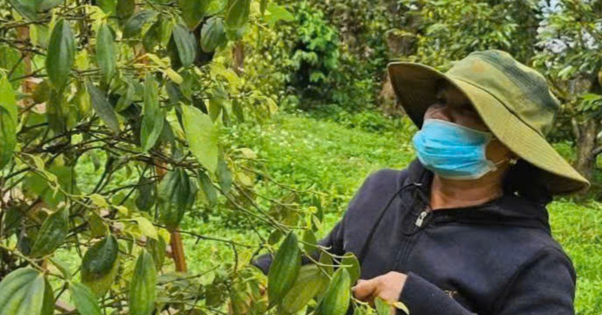 5 hiệp hội ngành hàng tỉ đô kiến nghị Quốc hội gỡ khó vụ thuế giá trị gia tăng