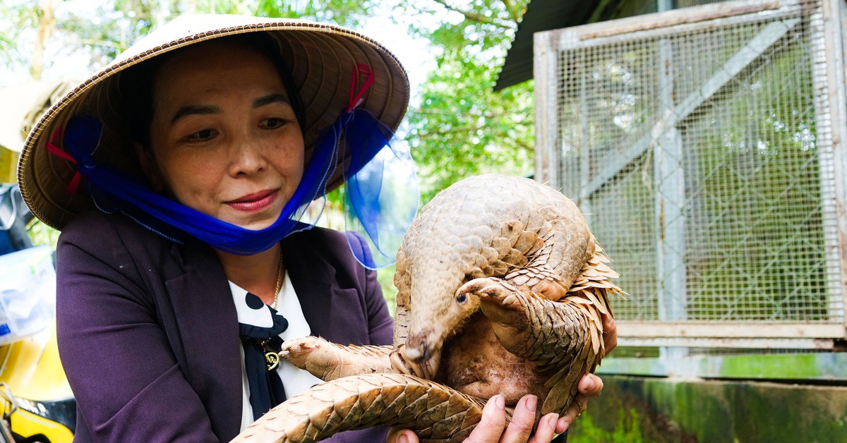 Bên trong khu cứu hộ động vật hoang dã quý hiếm bậc nhất miền Tây