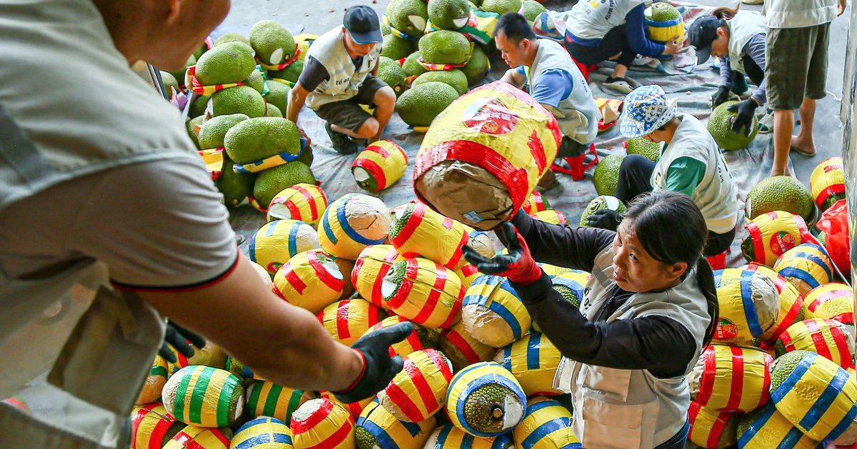 Ký nghị định thư xuất khẩu mít tươi sang Trung Quốc