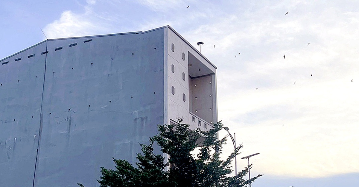 Nhà nuôi chim yến mở loa từ sáng đến đêm suốt 16 năm qua, phải làm sao?