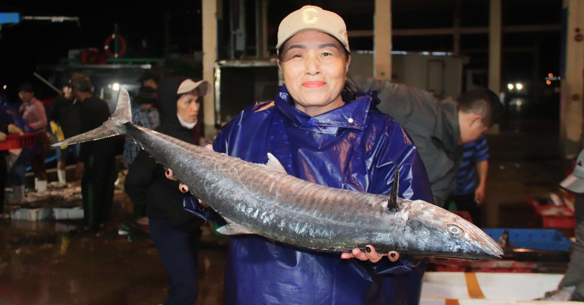 Cảng cá Thọ Quang nhộn nhịp tàu thuyền, ngư dân phấn khởi vì hải sản được giá