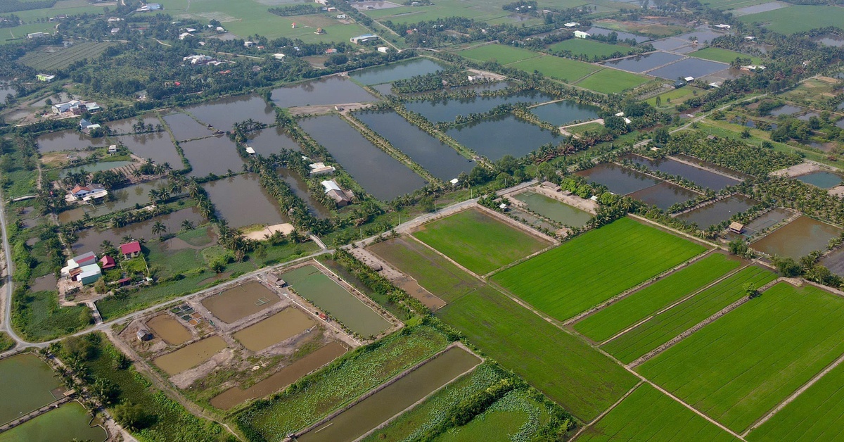 Bảng giá đất nông nghiệp TP.HCM dự kiến tăng, kéo giảm chênh lệch khi chuyển sang đất ở