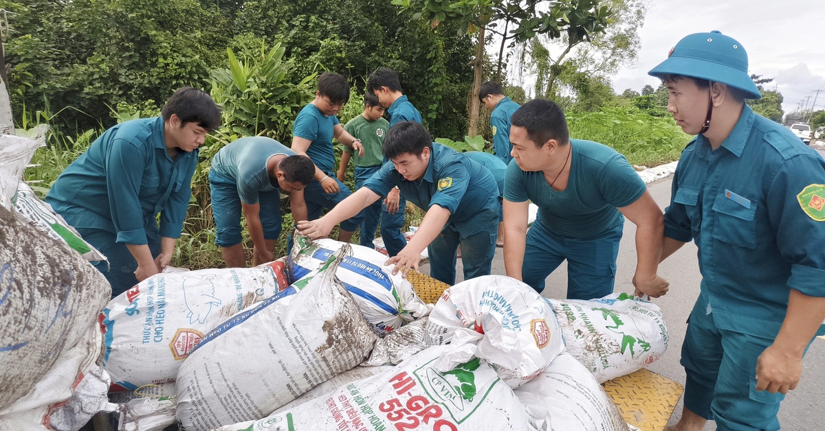 Xã Bà Điểm, TP.HCM khẩn cấp đắp bao cát ngăn triều cường trên đường Đặng Công Bỉnh