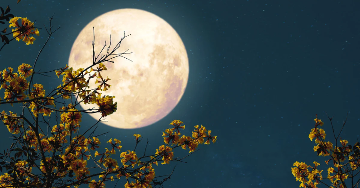 Việt Nam sắp đón siêu trăng Hải Ly - trăng tròn, sáng và lớn nhất năm 2025