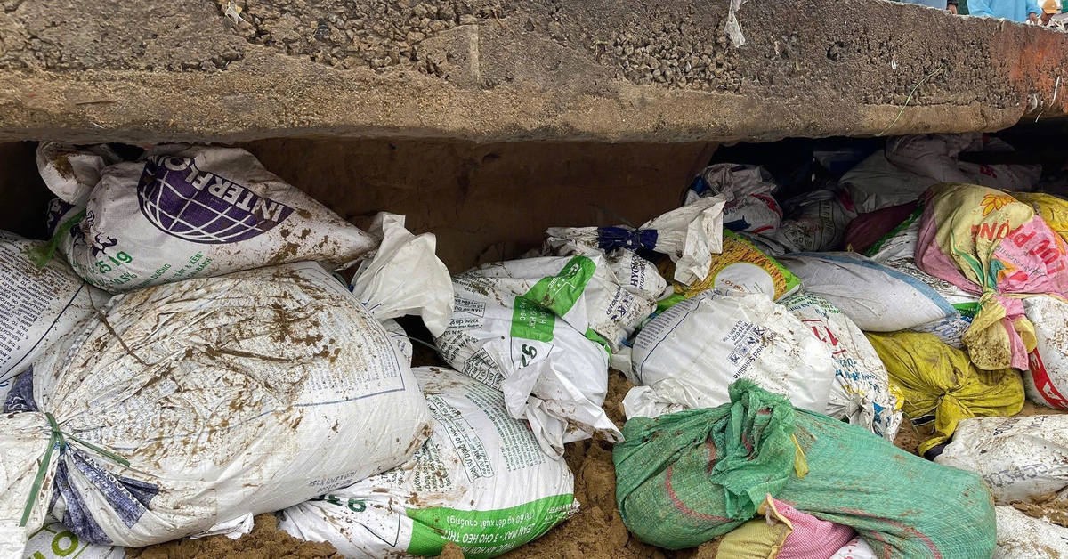 Sạt lở đe dọa 500 nhà dân ven sông Thu Bồn, Đà Nẵng yêu cầu tăng quân từ Sư đoàn 315 gia cố khẩn