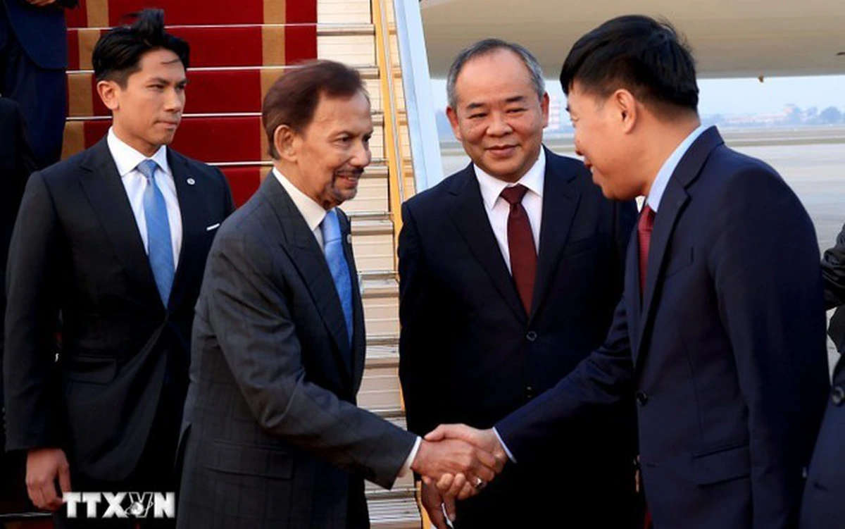 Quốc vương Brunei đến Hà Nội, bắt đầu thăm chính thức Việt Nam