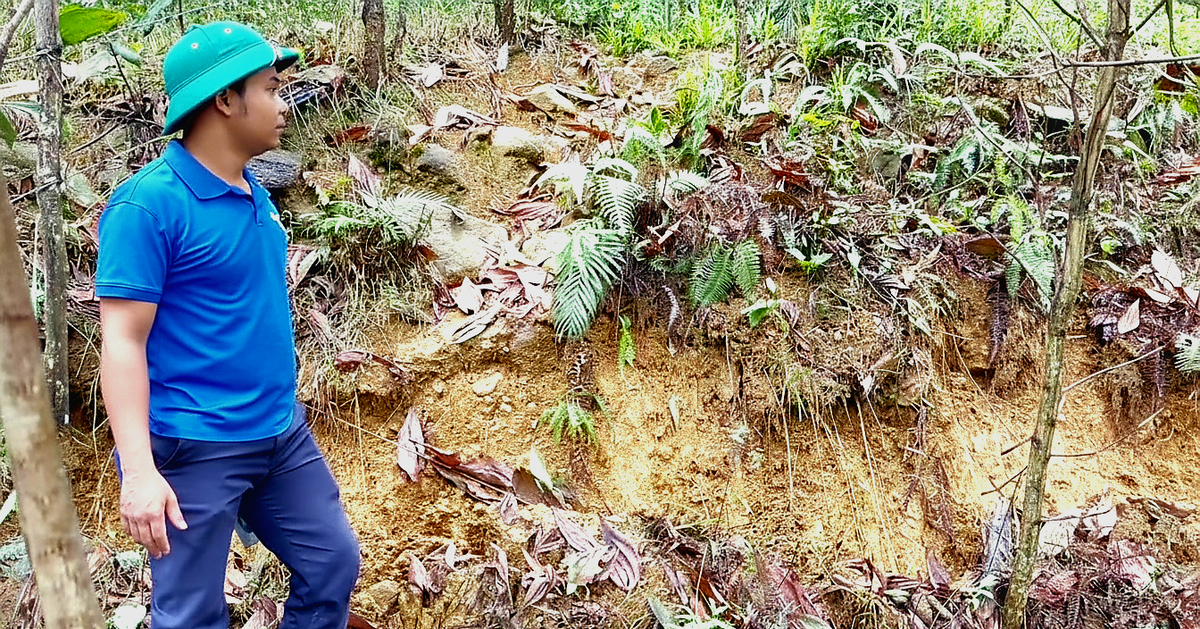 Vết nứt dài 100m ở quả đồi uy hiếp khu dân cư có 20 nhà dân phía dưới