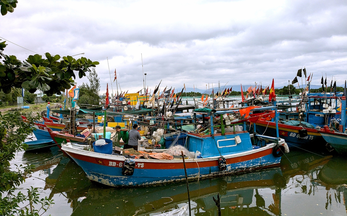 Gia Lai kích hoạt kịch bản ứng phó cấp siêu bão đối với bão Kalmaegi