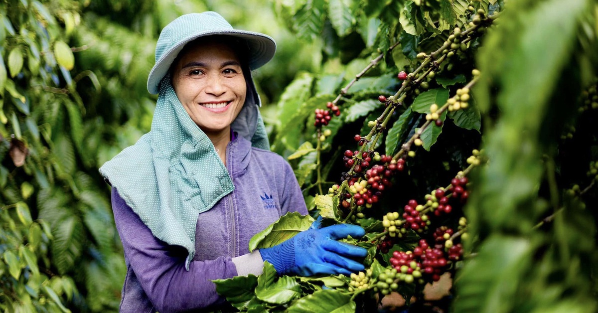 Nông sản Việt Nam đã có mặt ở hầu hết các quốc gia, vùng lãnh thổ trên thế giới