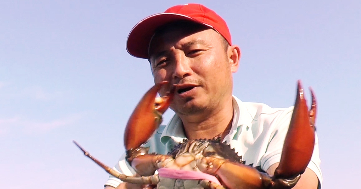 Cà Mau tìm 'vua cua' to nhất từ trước đến nay để đề nghị xác lập kỷ lục Việt Nam