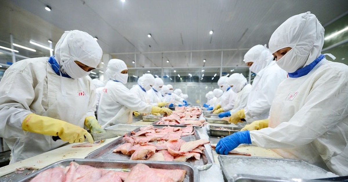 Nhu cầu tiêu thụ cá tra Việt Nam tăng mạnh tại Nhật Bản