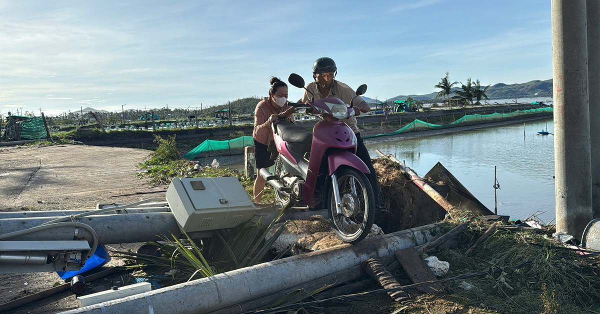 Đắk Lắk: Hàng vạn lồng bè nuôi cá, tôm bị phá hủy hoàn toàn do bão Kalmaegi