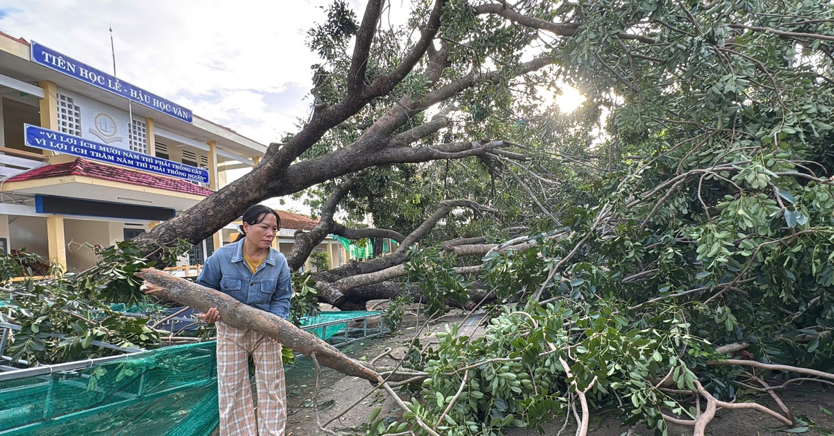 Hỗ trợ khẩn cấp 80 tỉ đồng cho Quảng Ngãi, Gia Lai, Đắk Lắk khắc phục hậu quả bão số 13