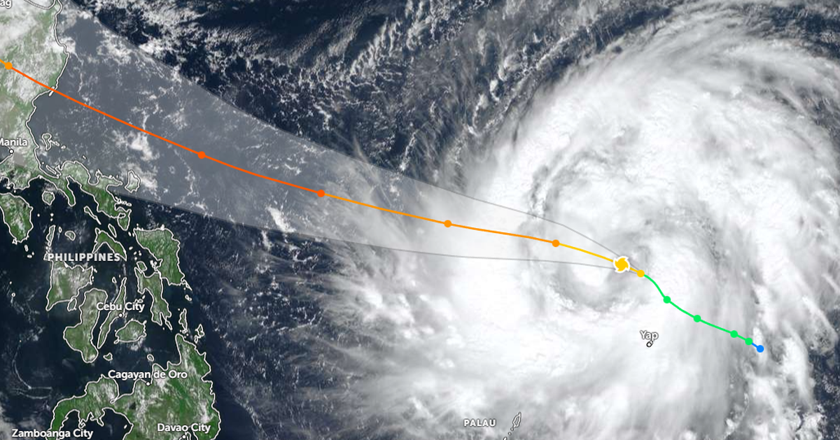 Bay đi giùm chim ơi!