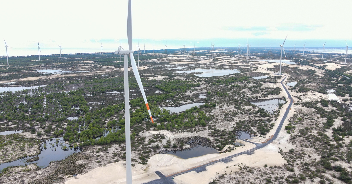 Vingroup quan tâm dự án điện gió 9.100 tỉ đồng tại Quảng Trị