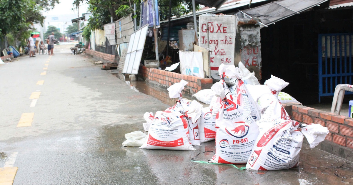 Dù đã xây 'tường thành', người dân Bình Quới, Tân Mỹ vẫn  khổ vì triều cường