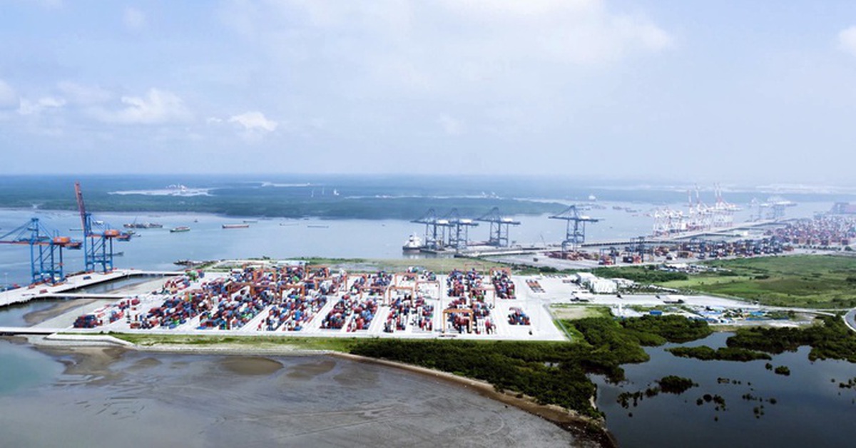 Đầu tư cho cảng biển Vũng Tàu cần hơn 81.000 tỉ đồng