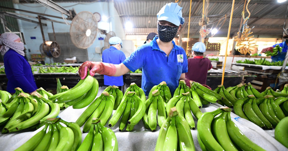 Hướng tới tương lai xanh, thịnh vượng