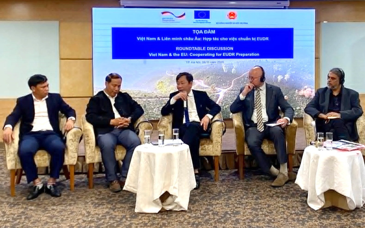 EU kiểm soát hàng nhập khẩu liên quan phá rừng